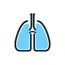 lungs